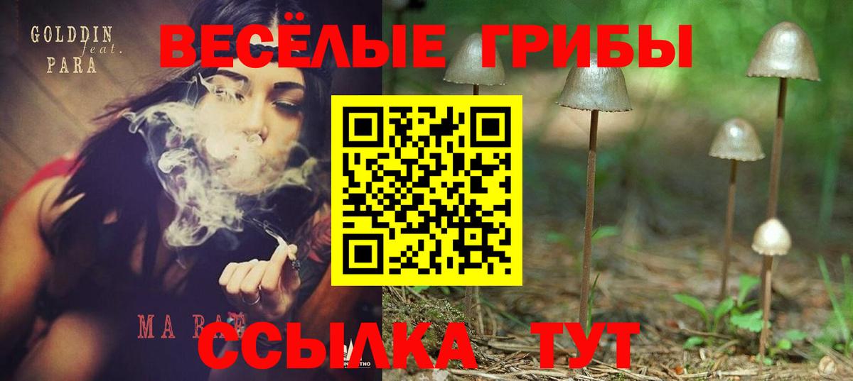 Зерноград  Галлюциногенные грибы MAGIC MUSHROOMS  Псилоцибиновые грибы MAGIC MUSHROOMS  Вход с VPN 